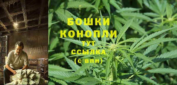 тгк Гусиноозёрск