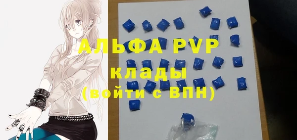 прущие грибы Ступино