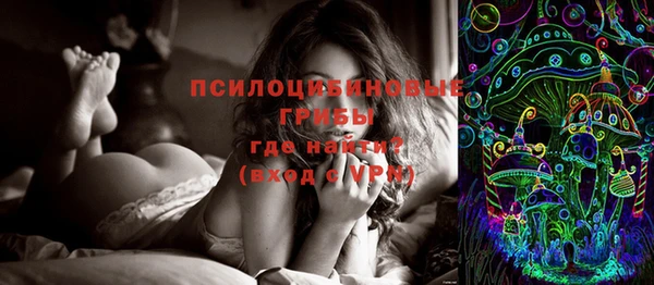 молекула духа Дмитров