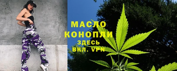 молекула духа Дмитров