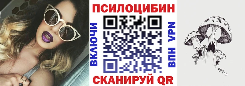 Галлюциногенные грибы MAGIC MUSHROOMS  MEGA ссылки  Заволжск  купить наркотики цена 